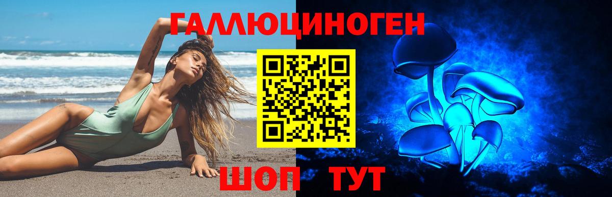 Реж  Псилоцибиновые грибы Psilocybe  Вход с VPN 
